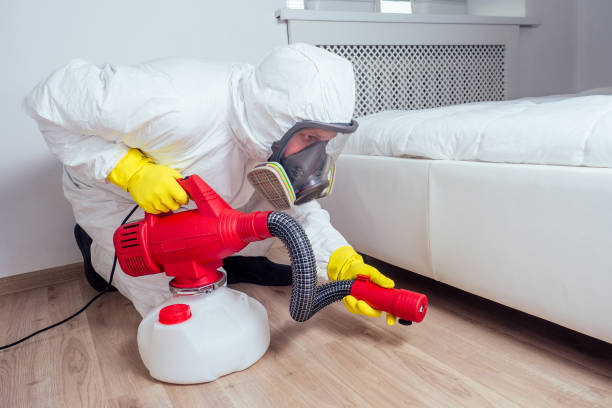 Real Estate Pest Inspections in Alexandria, AL